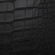 Black Crocodile Texture
