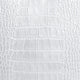 Silver Crocodile Texture