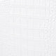White Crocodile texture